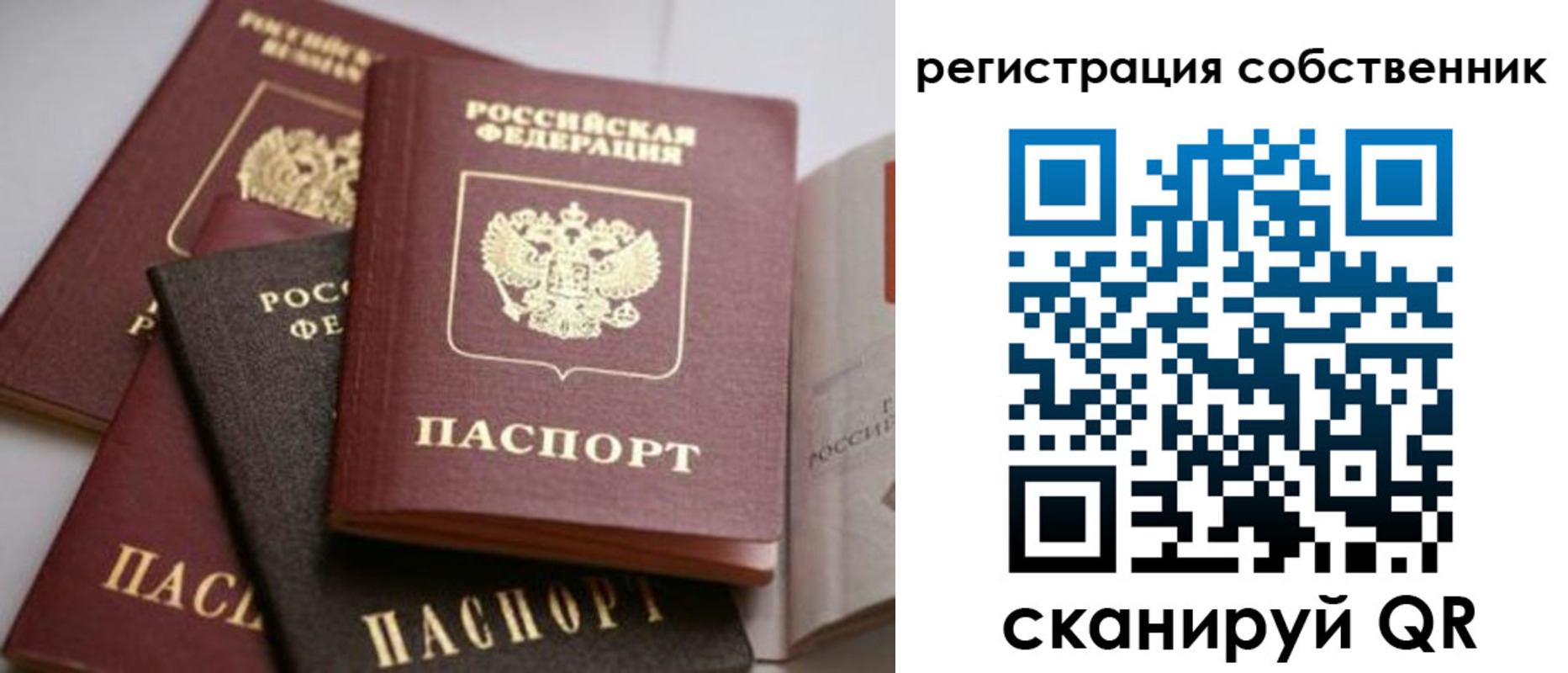 временная регистрация поиск в Борисоглебске